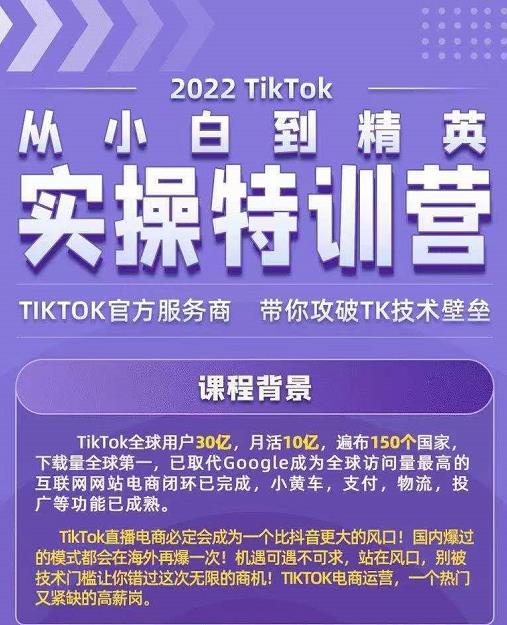 Seven漆·2022Tiktok从小白到精英实操特训营,带你掌握Tiktok账号运营-赚金金-技能学习分享