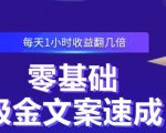 零基础吸金文案速成,每天1小时收益翻几倍价值499元-赚金金-技能学习分享