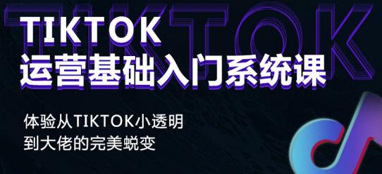 Tiktok实操进阶课程,体验从tiktok小透明到大佬的完美蜕变-赚金金-技能学习分享