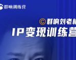 群响刘老板·IP变现训练营第6期:教你搞流量新姿势,IP打造获客私域经营-赚金金-技能学习分享