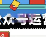 零零已久·从0-1运营公众号,零基础小白也能上手,系统性了解公众号运营-赚金金-技能学习分享