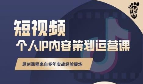 抖音短视频个人ip内容策划实操课,真正做到普通人也能实行落地-赚金金-技能学习分享