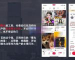 麦子互娱短视频带货·0基础做好物分享账号,无需出镜无需货源无需拍摄-赚金金-技能学习分享