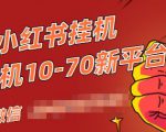 视频号小红书抖音挂机项目,小白无脑操作,按照要求来,单号每天几十米-赚金金-技能学习分享