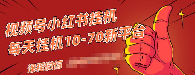 视频号小红书抖音挂机项目,小白无脑操作,按照要求来,单号每天几十米-赚金金-技能学习分享