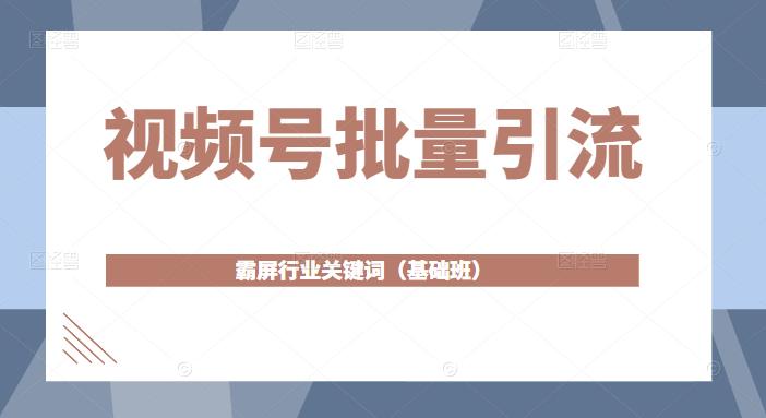 视频号批量引流,霸屏行业关键词(基础班)全面系统讲解视频号玩法-赚金金-技能学习分享