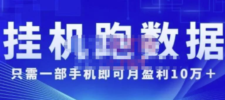猎人电商:挂机数跑据,只需一部手即机可月盈利10万+(内玩部法)价值4988元-赚金金-技能学习分享