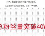 倪叶明·蓝海公众号矩阵项目训练营,0粉冷启动,公众号矩阵账号粉丝突破30w-赚金金-技能学习分享