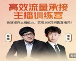 高效流量承接主播训练营:快速提升主播能力,实现100万销售直播间-赚金金-技能学习分享