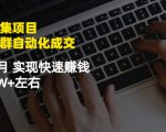 虚拟图集项目:矩阵站群自动化成交,3-5个月实现快速赚钱月入1W+左右-赚金金-技能学习分享