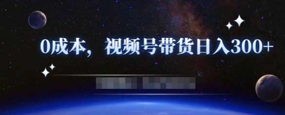 零基础视频号带货赚钱项目，0成本0门槛轻松日入300+【视频教程】-赚金金-技能学习分享