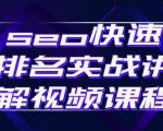 seo快速排名实战讲解视频课程,揭秘seo快排原理-赚金金-技能学习分享