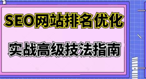 樊天华·SEO网站排名优化实战高级技法指南,让客户找到你-赚金金-技能学习分享