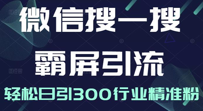 微信搜一搜霸屏引流课，打造被动精准引流系统，轻松日引300行业精准粉-赚金金-技能学习分享