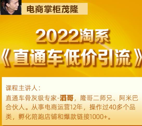 茂隆2022直通车低价引流玩法，教大家如何低投入高回报的直通车玩法-赚金金-技能学习分享