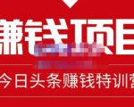 懒人领域·今日头条项目玩法,头条中视频项目,单号收益在50—500可批量-赚金金-技能学习分享