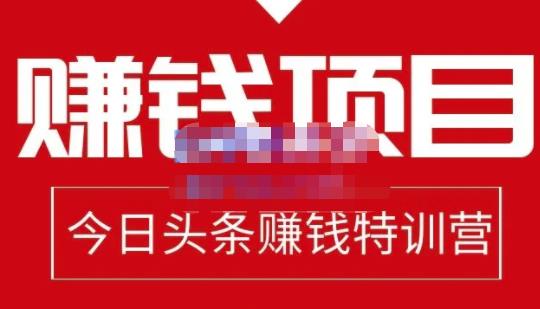 懒人领域·今日头条项目玩法,头条中视频项目,单号收益在50—500可批量-赚金金-技能学习分享