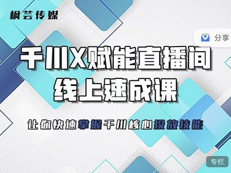 枫芸传媒-线上千川提升课，提升千川认知，提升千川投放效果-赚金金-技能学习分享