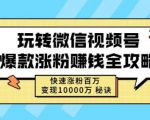 玩转微信视频号爆款涨粉赚钱全攻略,快速涨粉百万变现万元秘诀-赚金金-技能学习分享