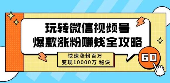 玩转微信视频号爆款涨粉赚钱全攻略,快速涨粉百万变现万元秘诀-赚金金-技能学习分享