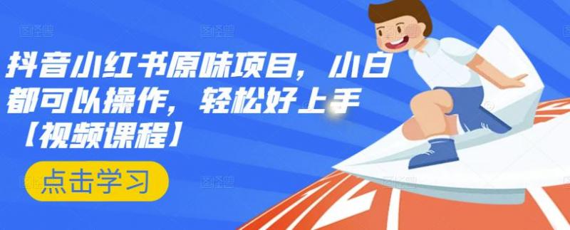 抖音小红书原味项目,小白都可以操作,轻松好上手【视频课程】-赚金金-技能学习分享