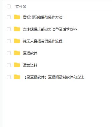 左小姐-直播带货俱乐部十三行、无人直播，全套教程附：工具、文档、话术资料-赚金金-技能学习分享