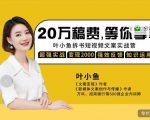 叶小鱼21天短视频文案拆书营，学完轻松搞定各类书单短视频文案-赚金金-技能学习分享