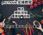 漆十二美食摄影,25节promovie实操高手课节-赚金金-技能学习分享