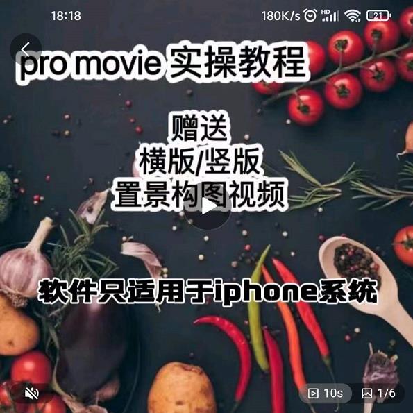 漆十二美食摄影,25节promovie实操高手课节-赚金金-技能学习分享