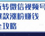 玩转微信视频号爆款涨粉赚钱全攻略,让你快速抓住流量风口,收获红利财富-赚金金-技能学习分享