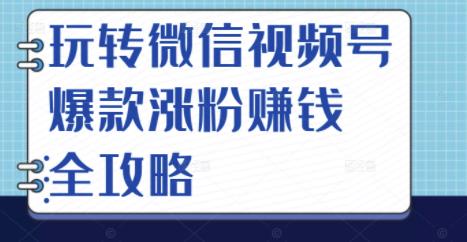 玩转微信视频号爆款涨粉赚钱全攻略,让你快速抓住流量风口,收获红利财富-赚金金-技能学习分享