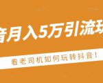 老古董·抖音月入5万引流玩法,看看老司机如何玩转抖音(附赠:抖音另类引流思路)-赚金金-技能学习分享