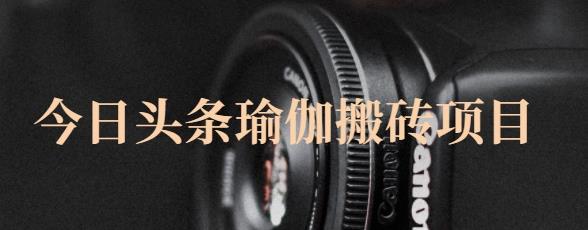 猎人社区·今日头条瑜伽搬砖项目,单号一天几十收入,可以批量操作!-赚金金-技能学习分享