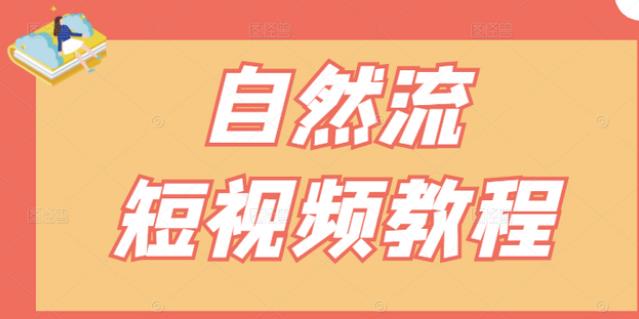【瑶瑶短视频】自然流短视频教程,让你更快理解做自然流视频的精髓-赚金金-技能学习分享