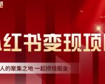 渣圈学苑·小红书虚拟资源变现项目,一起捞钱掘金价值1099元-赚金金-技能学习分享