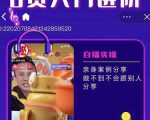 朱白板抖音带货进阶课,实操运营+主播不玩虚的-赚金金-技能学习分享