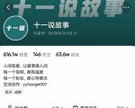 十一说故事·故事性中视频，观众快速共鸣从而快速变现的中视频玩法-赚金金-技能学习分享