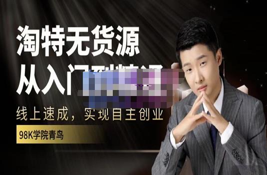98k学院的淘特无货源线上速成课,从入门到精通,让你最小投入,最高回报-赚金金-技能学习分享