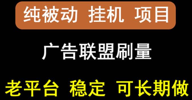 【稳定挂机】oneptp出海广告联盟挂机项目,每天躺赚几块钱,多台批量多赚些-赚金金-技能学习分享