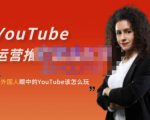 外国人眼中的YouTube该怎么玩？Elisa·YouTube运营推广实战技巧-赚金金-技能学习分享