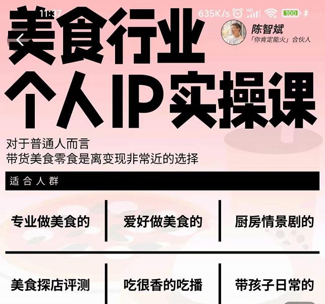 美食行业个人IP实操课,对于普通人而言,带货美食零食是离变现非常近的选择-赚金金-技能学习分享