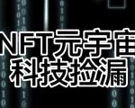 【元本空间sky七级空间唯一ibox幻藏等】NTF捡漏合集【抢购脚本+教程】-赚金金-技能学习分享