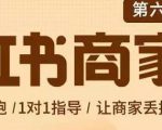 贾真-小红书商家营第6期商家版,21天带货陪跑课,让商家丢掉付流量-赚金金-技能学习分享
