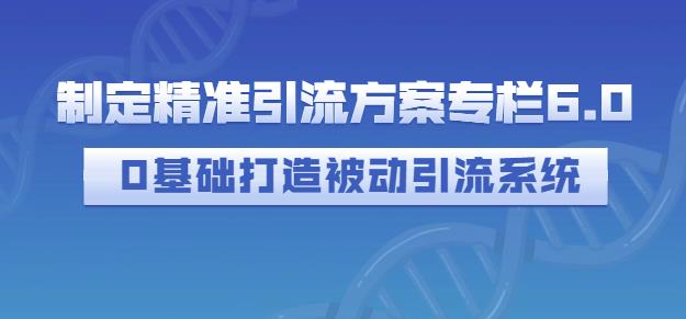 制定精准引流方案专栏6.0,0基础打造被动引流系统-赚金金-技能学习分享