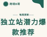 【跨境B哥】独立站潜力爆款选品推荐,测款出单率高达百分之80-赚金金-技能学习分享
