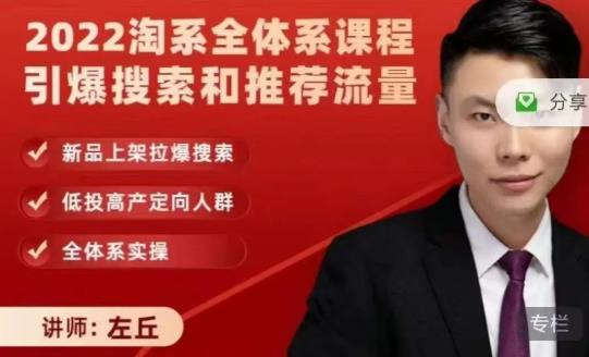2022淘系全体系课程引爆搜索和推荐流量,新品上架拉爆搜索-赚金金-技能学习分享