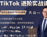 大山老师TikTok进阶实战课:账号详解,流量运营,实战变现,助力你成功出海-赚金金-技能学习分享