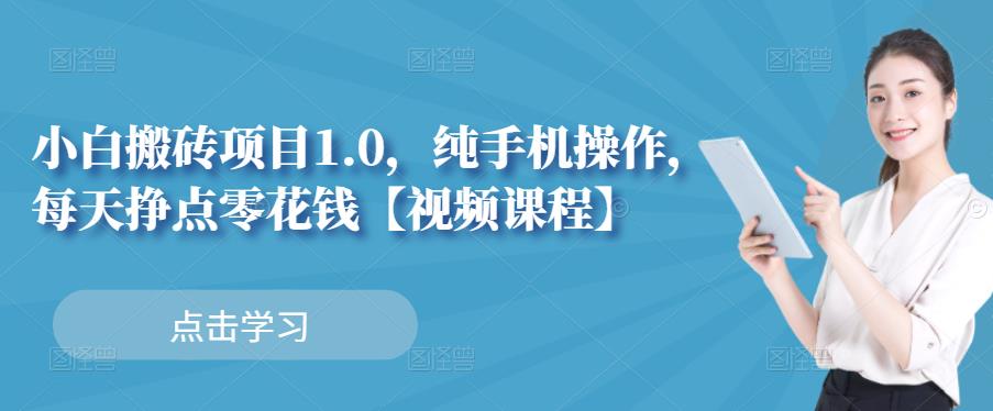 小白搬砖项目1.0,纯手机操作,每天兼职挣点零花钱-赚金金-技能学习分享