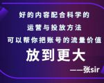 张sir账号流量增长课,告别海王流量,让你的流量更精准-赚金金-技能学习分享