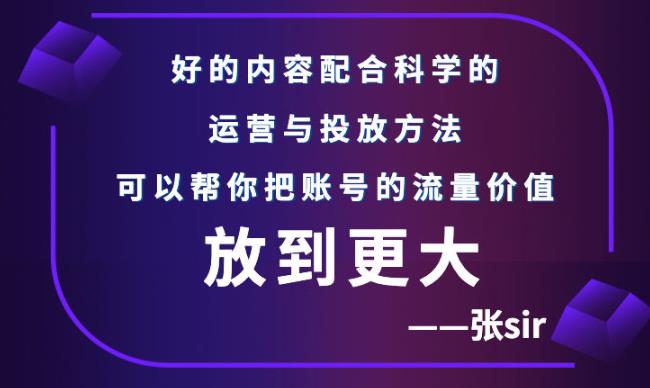 张sir账号流量增长课,告别海王流量,让你的流量更精准-赚金金-技能学习分享